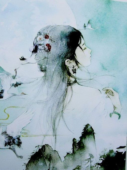 Huafeihua · Festes Wort · Verbotenes Wort · Illustration